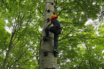 Kind klimt in een boom bij eXito